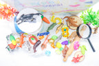 Zoo Animal Play Dough Sensory Kit